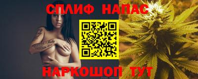 Альфа ПВП Малгобек
