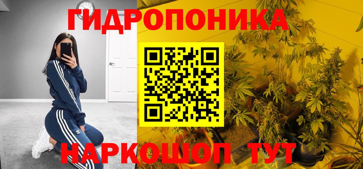 Каннабис LSD WEED  Вход с VPN  Чапаевск  Канабис VHQ 