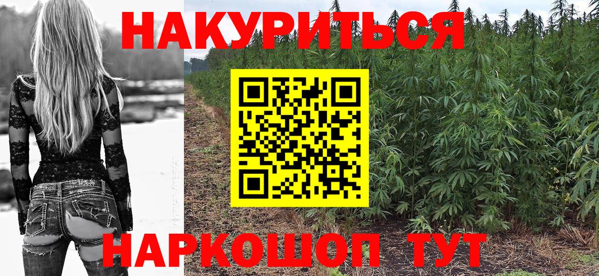 Канабис OG Kush Чапаевск